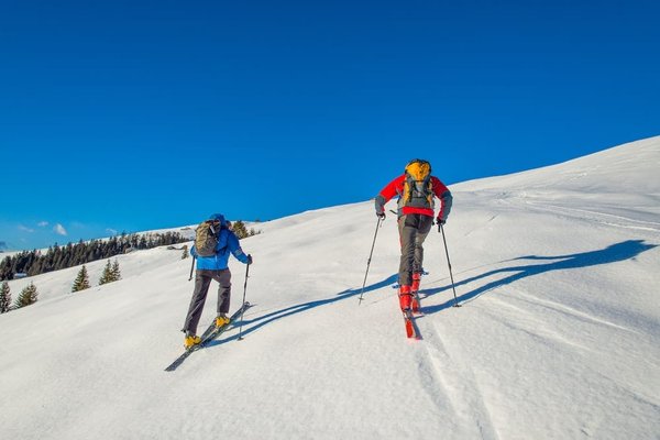 Quelle application mobile fournit les meilleurs itinéraires pour la randonnée en montagne?