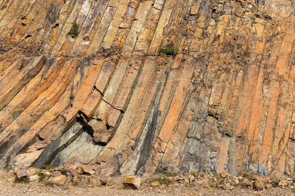 Quels avantages le ciblage géographique offre-t-il pour une campagne Google Ads d'une clinique vétérinaire locale?